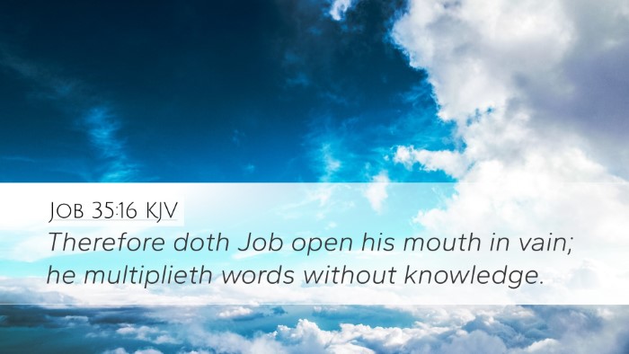 Job 35:16 Bible Commentary