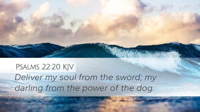 Psalms 22:20 Bible Commentary