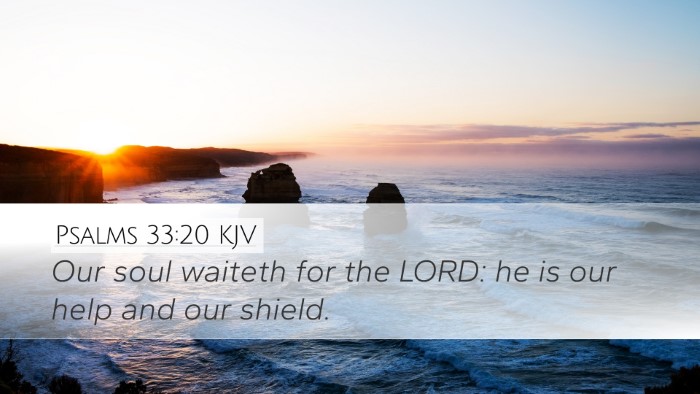 Psalms 33:20 Bible Commentary