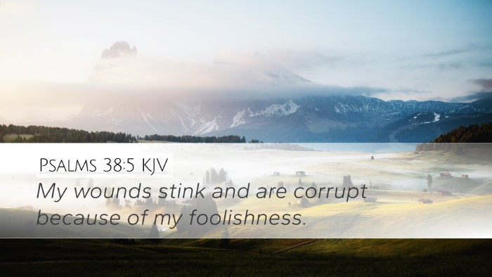 Psalms 38:5 Bible Commentary