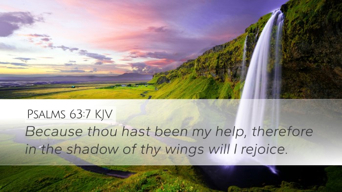 Psalms 63:7 Bible Commentary