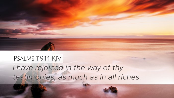 Psalms 119:14 Bible Commentary