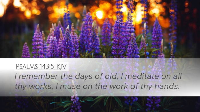 Psalms 143:5 Bible Commentary