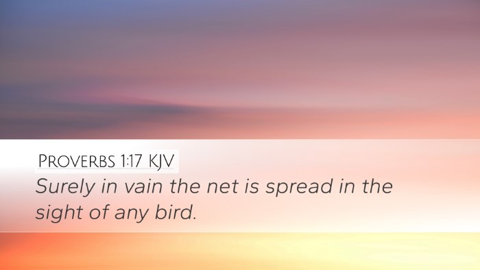 Proverbs 1:17 Bible Commentary