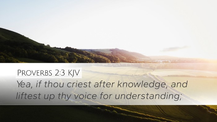 Proverbs 2:3 Bible Commentary