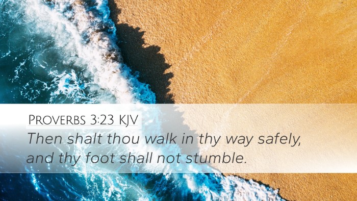 Proverbs 3:23 Bible Commentary