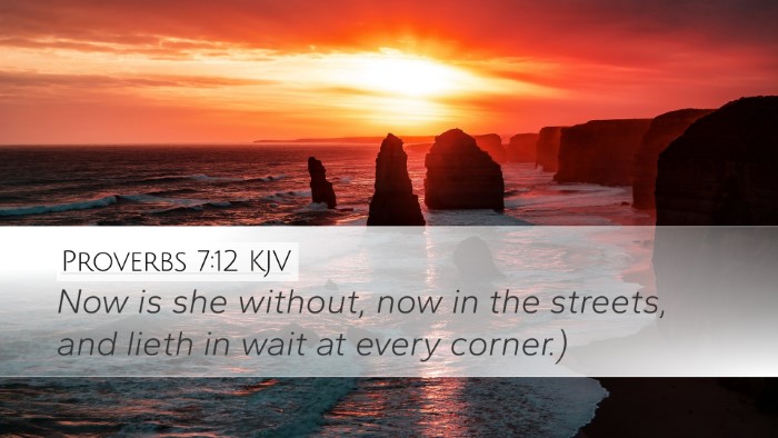 Proverbs 7:12 Bible Commentary