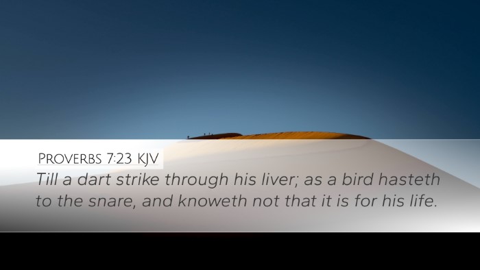 Proverbs 7:23 Bible Commentary