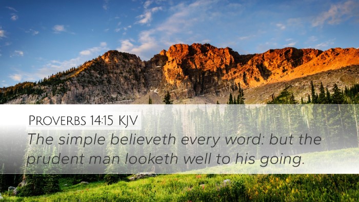 Proverbs 14:15 Bible Commentary