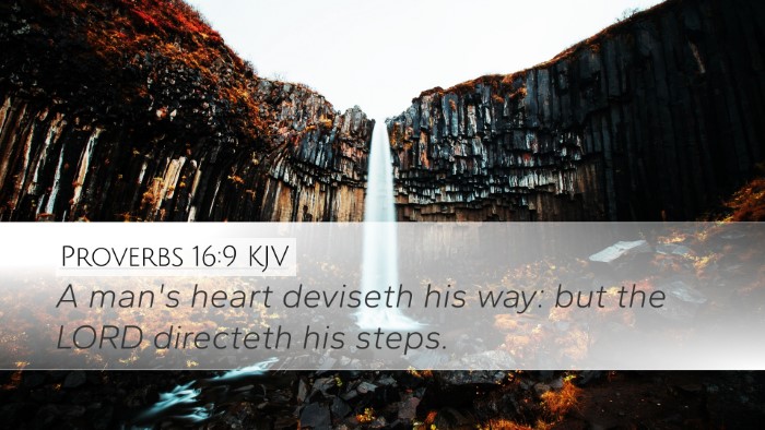 Proverbs 16:9 Bible Commentary