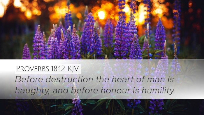 Proverbs 18:12 Bible Commentary