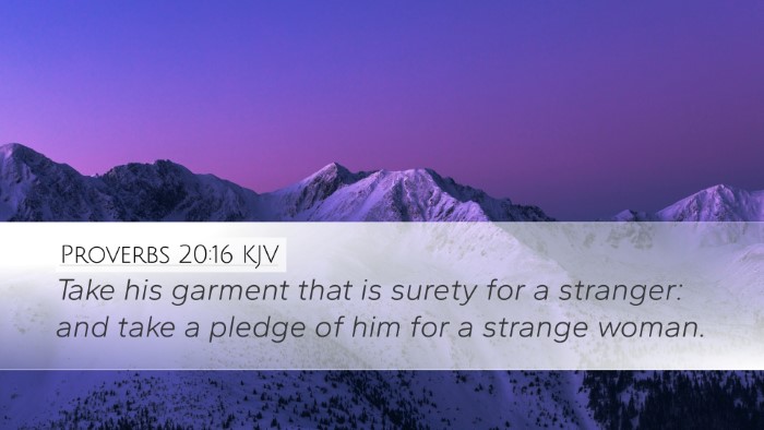 Proverbs 20:16 Bible Commentary