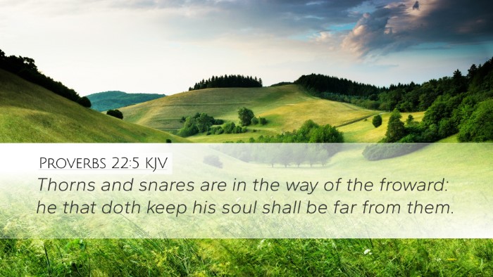 Proverbs 22:5 Bible Commentary