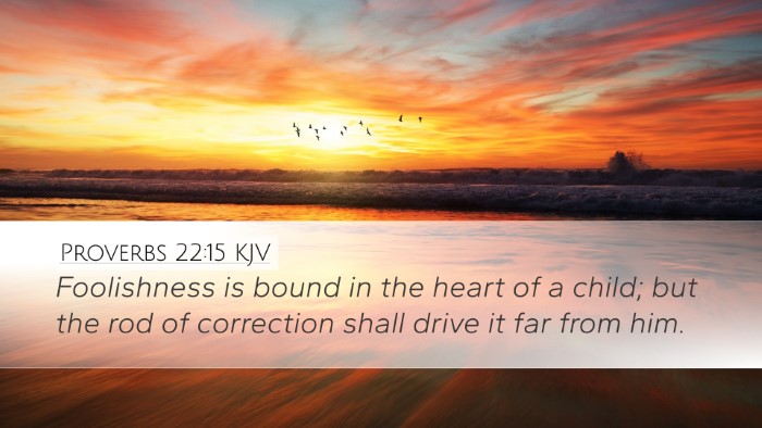 Proverbs 22:15 Bible Commentary