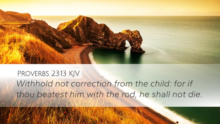 Proverbs 23:13 Bible Commentary