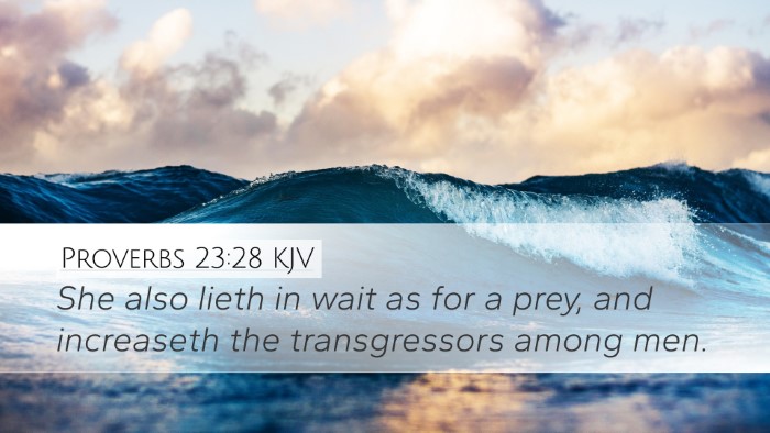 Proverbs 23:28 Bible Commentary