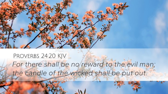 Proverbs 24:20 Bible Commentary