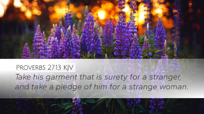 Proverbs 27:13 Bible Commentary