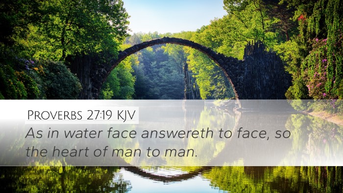 Proverbs 27:19 Bible Commentary