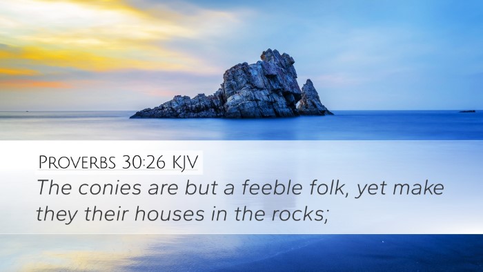 Proverbs 30:26 Bible Commentary