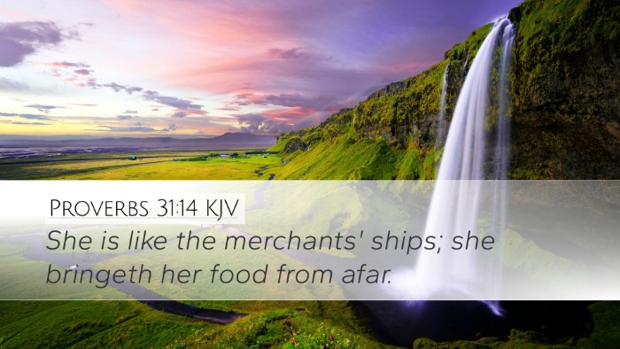 Proverbs 31:14 Bible Commentary