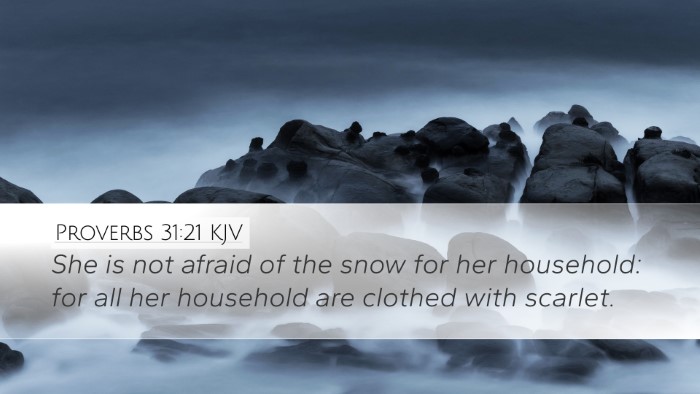 Proverbs 31:21 Bible Commentary