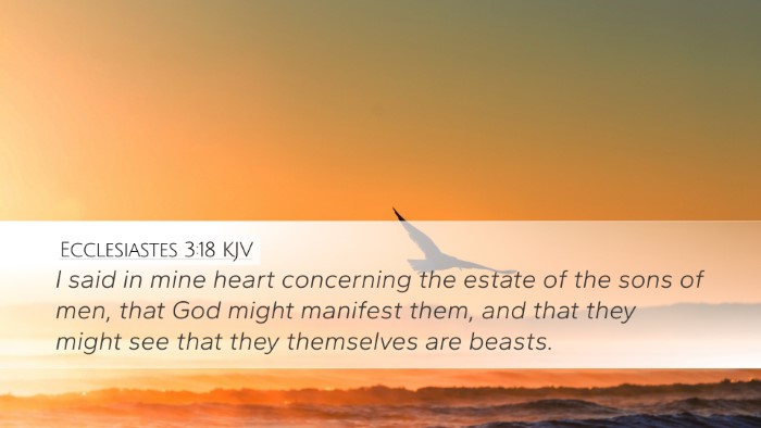 Ecclesiastes 3:18 Bible Commentary