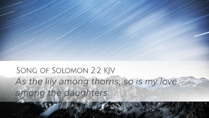 Song of Solomon 2:2 Bible Commentary