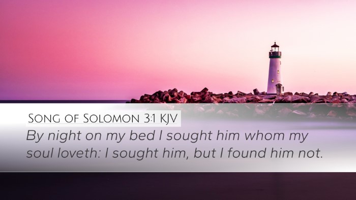 Song of Solomon 3:1 Bible Commentary