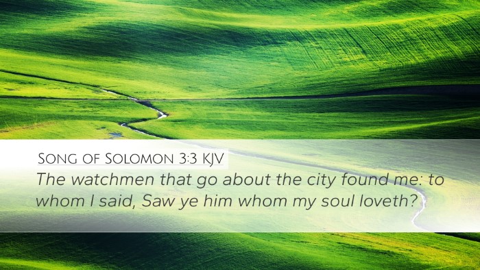 Song of Solomon 3:3 Bible Commentary