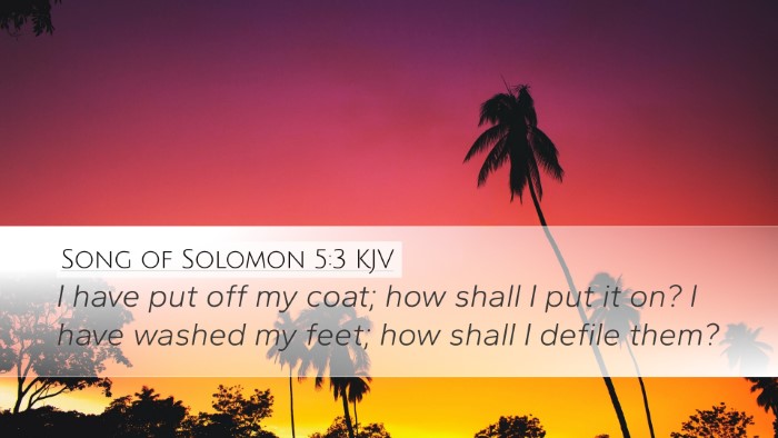 Song of Solomon 5:3 Bible Commentary