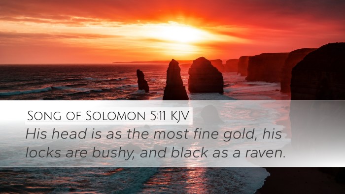 Song of Solomon 5:11 Bible Commentary