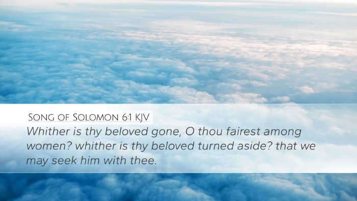 Song of Solomon 6:1 Bible Commentary