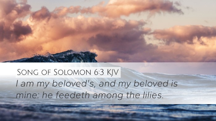 Song of Solomon 6:3 Bible Commentary