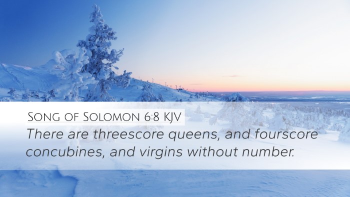 Song of Solomon 6:8 Bible Commentary