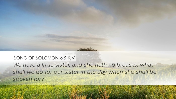 Song of Solomon 8:8 Bible Commentary