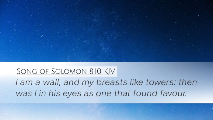 Song of Solomon 8:10 Bible Commentary