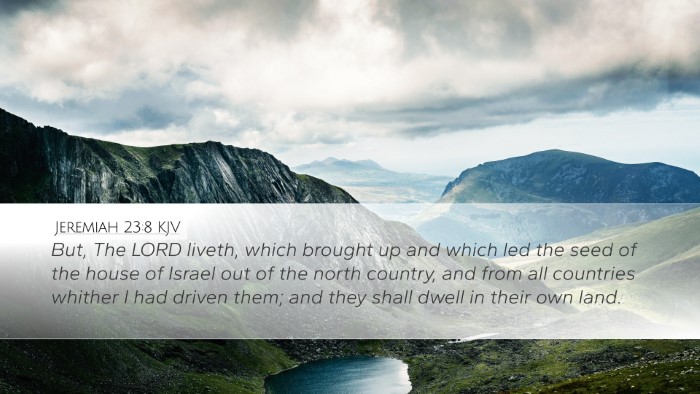 Jeremiah 23:8 Bible Commentary