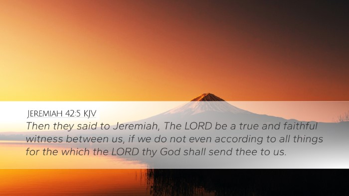 Jeremiah 42:5 Bible Commentary