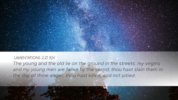 Lamentations 2:21 Bible Commentary