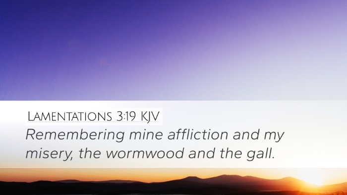 Lamentations 3:19 Bible Commentary