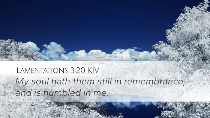 Lamentations 3:20 Bible Commentary