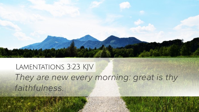 Lamentations 3:23 Bible Commentary