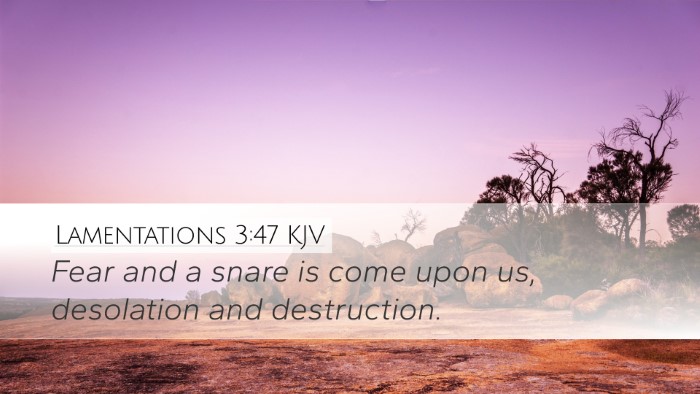 Lamentations 3:47 Bible Commentary