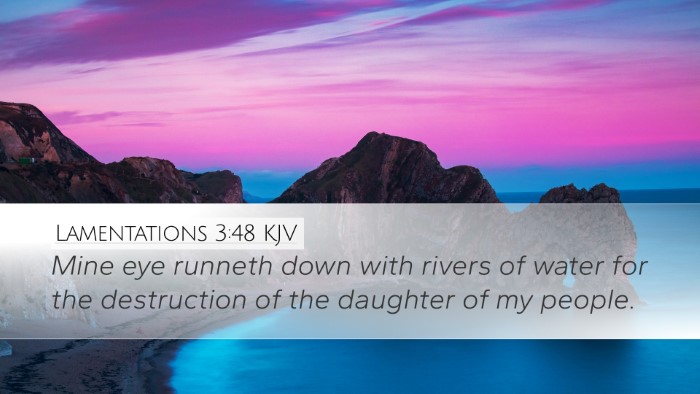 Lamentations 3:48 Bible Commentary