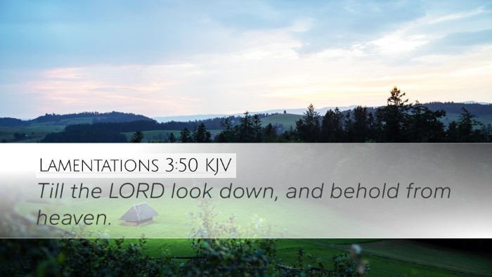 Lamentations 3:50 Bible Commentary