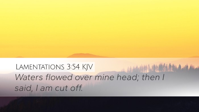 Lamentations 3:54 Bible Commentary