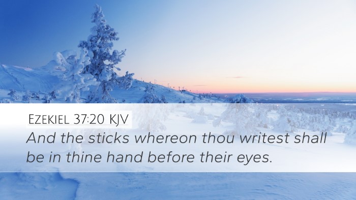 Ezekiel 37:20 Bible Commentary