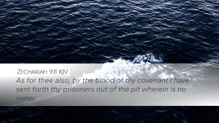 Zechariah 9:11 Bible Commentary