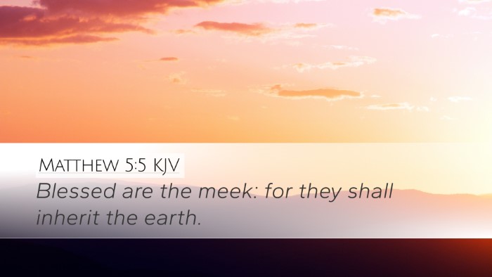 Matthew 5:5 Bible Commentary